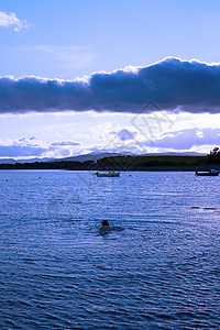 男人在Kenmare附近的宁静的海湾里游泳图片