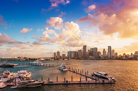 佛罗里达州迈阿密市中心地标旅游高楼市中心热带海洋景观建筑港口建筑物图片