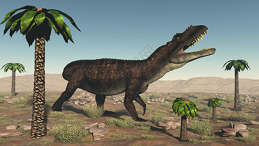 恐龙  三维转化风景绿色插图石头沙漠动物古艺术食肉岩石爬虫图片