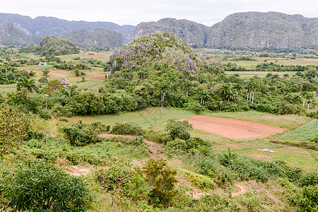 维纳莱斯谷地风景全景与谈判天空爬坡公园旅游假期旅行植物群地标热带环境图片