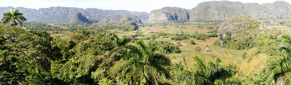 维纳莱斯谷地风景全景与谈判植物群农场游客公园棕榈环境植物假期国家爬坡图片