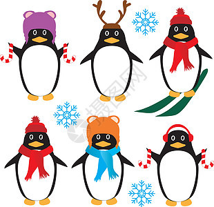 矢量搞笑企鹅荒野艺术滑雪季节卡片野生动物生活卡通片插图乐趣图片