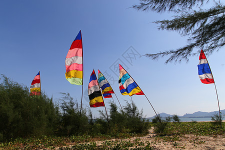 海滩风边的多彩旗帜图片