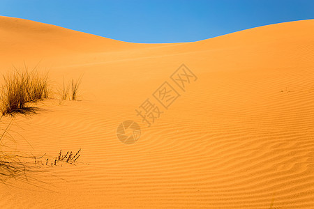 撒哈拉沙漠沙丘 摩洛哥梅尔祖加逃避荒野土地自由太阳旅行天空冒险沙漠沙丘图片