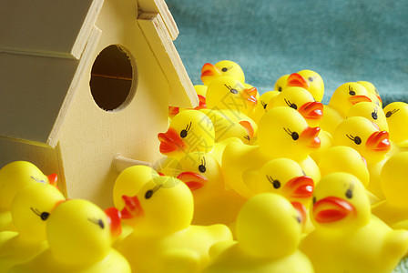 橡胶鸭黄色橡皮人群团体童年塑料浴室洗澡玩具鸭子图片
