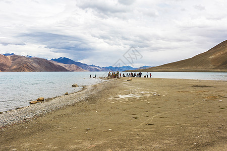 蓬湖旅游社图片