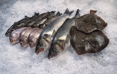以冰面背景在市场上的鱼图片