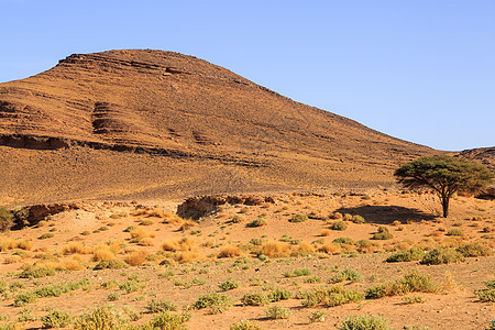 摩洛哥美丽的山地风景 在蓝天的沙漠中峡谷全景冒险日落地平线爬坡旅游阳光旅行石头图片