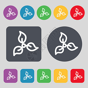 生态标志示意图 一组有12色按钮 平面设计 矢量图片