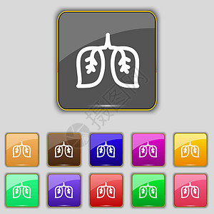 肺部图标符号 设置您网站的11个彩色按钮 矢量图片