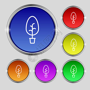 图标树符号 光亮彩色按钮上的圆形符号 矢量图片