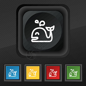 鲸鱼图标符号 在黑色纹理上为您设计一套5个彩色 时髦的按钮 矢量图片