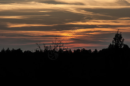 德国巴伐利亚黎明日出太阳森林天空日落图片