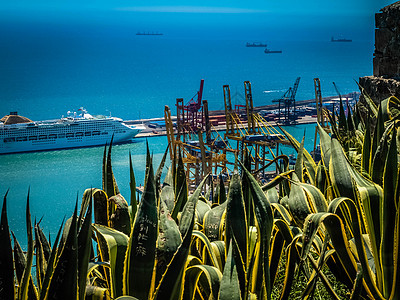 装集装箱船的商业港港口出口贸易起重机进口全景景观旅行海洋商品货物图片