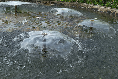 公园小喷泉 pon喷泉图片
