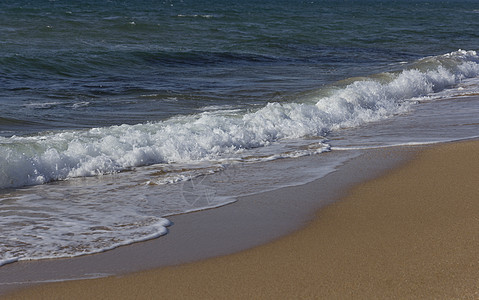 沙滩上的海浪晴天波纹海洋液体冲浪海景旅行泡沫支撑太阳图片