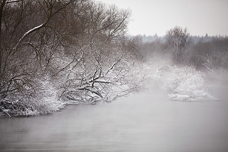 河边的树上有雪和霜 天气暴风雪图片