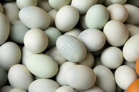 新鲜鸭蛋作为背景产品美食动物食物早餐农场蛋壳母鸡营养家禽图片