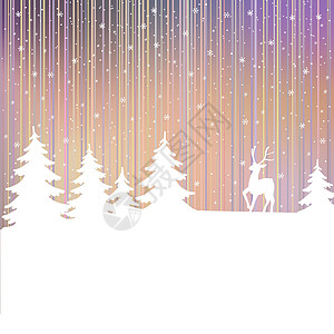 圣诞节背景 冬季风景与鹿 白仙林星星艺术插图白色乐趣驯鹿雪花森林创造力荒野图片