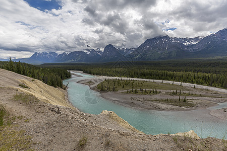 Athabasca河Japser国家公园 加拿大森林绿色树木针叶林公园天空风景山脉植物蓝色图片