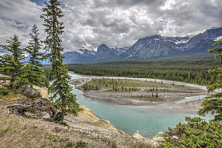 Athabasca河Japser国家公园 加拿大天空绿色蓝色旅游旅行荒野针叶林风景森林公园图片
