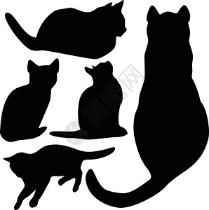 猫集合矢量 silhouett尾巴跳跃绘画阴影宠物夹子冒充黑色朋友团体图片