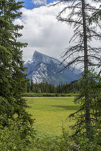 背景与山区草地     加拿大班夫NP图片