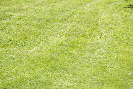 草地割草机杂草轨道联盟小径公园草坪图片