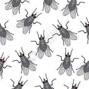 飞虫无缝纹理 飞壁纸背景 它制作图案矢量图片