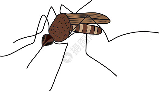 张公山寨在白色背景上孤立的卡通彩色蚊子 矢量插图插画
