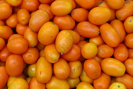 新鲜的橙子海藻柑橘仁水果展示食物市场收成团体销售季节情调味道近观图片