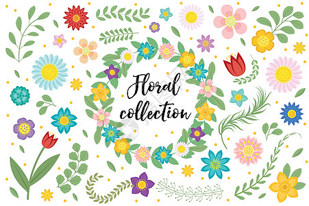 花朵和树叶套装 植物收藏以白色背景隔开 春季 夏季设计元素用于邀请 结婚或贺卡 带空间文字的框框 矢量插图图片