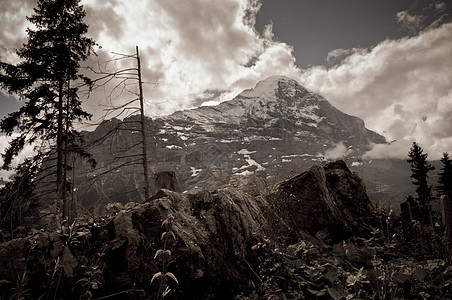 瑞士山脉 伯尔尼高地 阿尔卑斯山 欧洲阿尔卑斯山森林风景僧侣旅行高山蓝色薄雾顶峰远足遗产图片