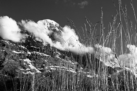 瑞士山脉 伯尔尼高地 阿尔卑斯山 欧洲阿尔卑斯山蓝色悬崖远足高山僧侣森林全景顶峰风景旅行图片