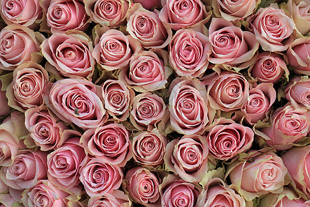 粉红色婚礼玫瑰装饰品装饰鲜花插花新娘中心捧花背景图片