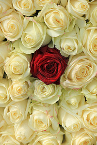 白色花束中的红玫瑰绿色婚姻装饰品花朵新娘花瓣植物群鲜花婚礼玫瑰图片