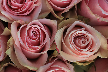 粉红色婚礼玫瑰捧花插花鲜花中心新娘装饰装饰品背景图片