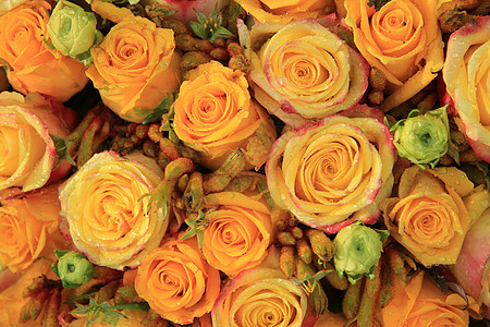 混合黄黄色新娘玫瑰黄玫瑰装饰捧花鲜花花瓣婚礼背景图片