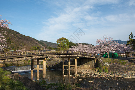 樱花花 日本京都的青林山假期地标樱花建筑学观光旅行建筑农村旅游图片