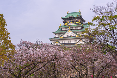 大阪城堡 樱花之花建筑学天空旅行樱花观光遗产地标世界庆典季节图片