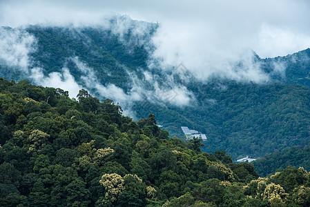 热带雨林山谷地貌的山丘 莫岛雾雾风景旅行林地美丽绿色植物爬坡环境顶峰森林公园图片