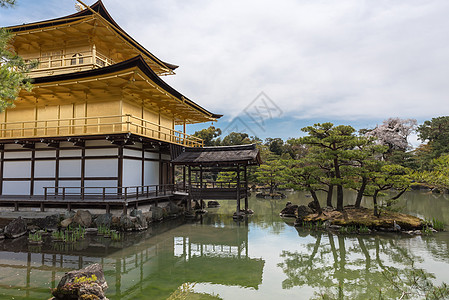 日本京都佛教寺 黄金馆 日本京都的佛庙花园地标寺庙反射建筑学文化神社历史性松树宗教图片