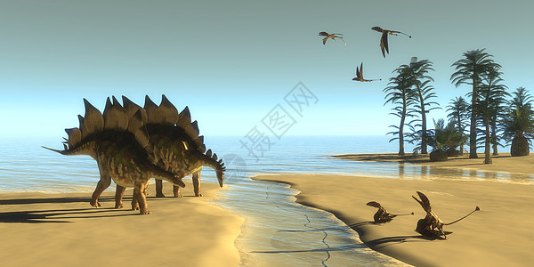 Stegosaur 恐龙早图片