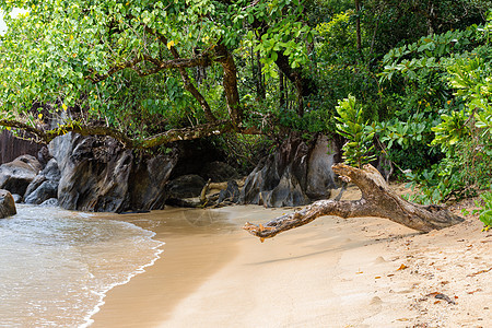 马达加斯加马苏阿拉国家公园景观图景海洋海岸太阳海滩旅游热带公园假期石头岩石图片