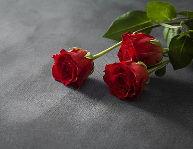 灰色背景的孤立红玫瑰图片