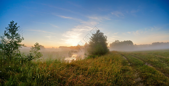 河上夏天的薄雾日出 早上佛吉河天空薄雾蓝色草地森林灌木丛场景风景日出绿色图片