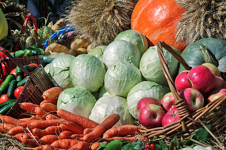 蔬菜收成在集市出售农场玉米土豆南瓜农民季节食物树叶销售量交易图片