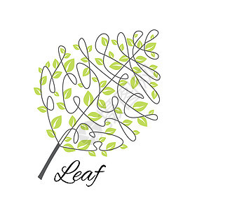 矢量装饰叶森林植物学插图漩涡生态婚礼艺术环境生物植物图片