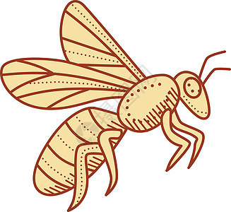 蜜蜂飞行单线飞虫绘画工蜂昆虫艺术品厚度生物画线重量外观图片