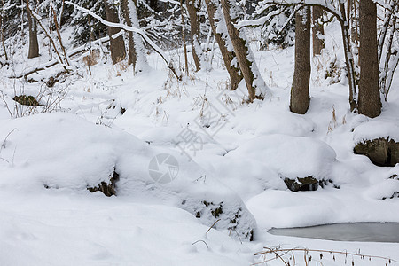 冬季风景 下雪覆盖小溪高地国家季节雪景季节性森林孤独乡村场景木头图片